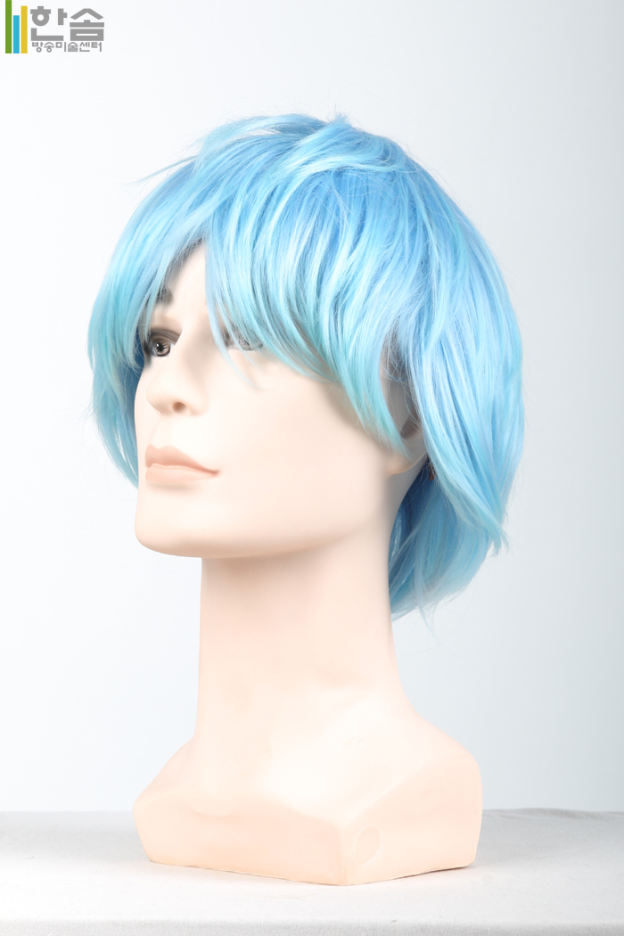 30007.가발(남여공용)