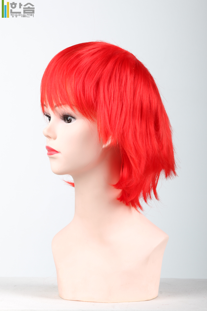 30009.가발(남녀공용)