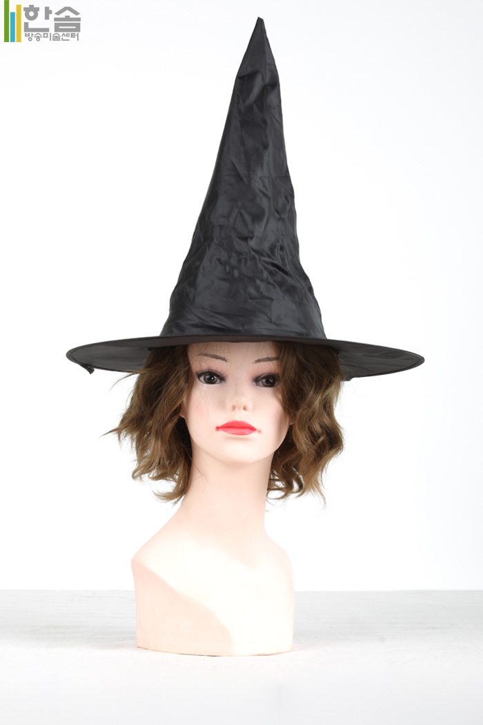 20422.마녀모자