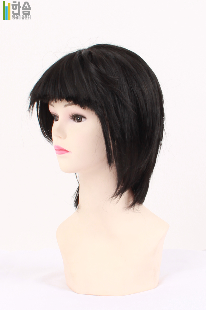 45759.가발(남녀공용)