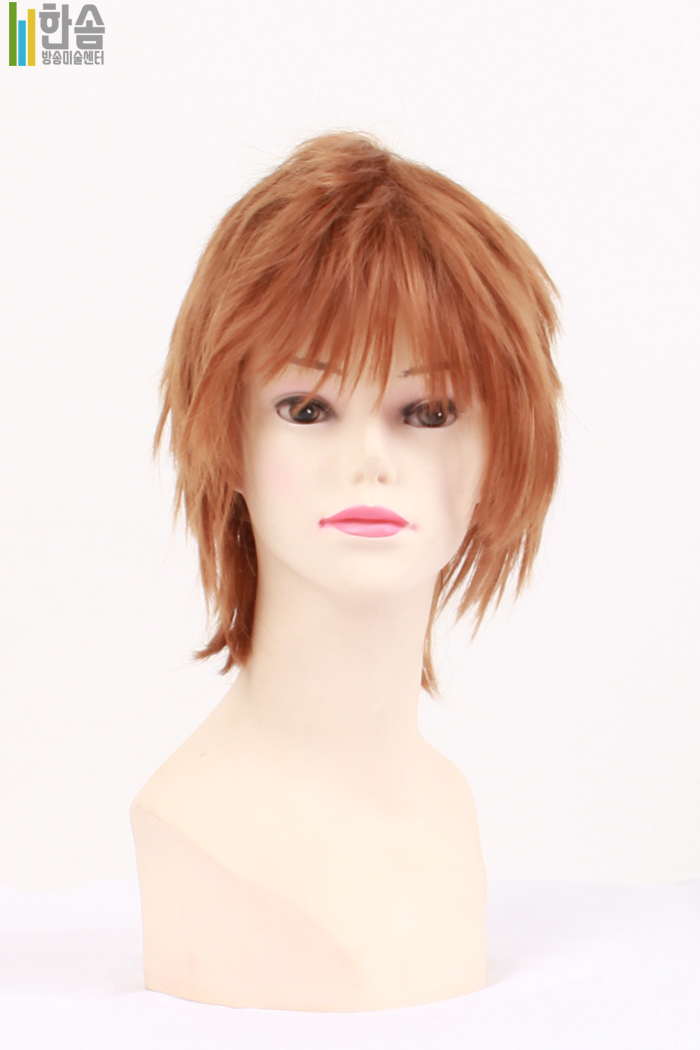 45790.가발(남녀공용)